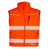 BEESWIFT BSD31OR DELTIC HIVIS
