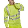 BEESWIFT BSSENSY SWEATSHIRT CLASS3